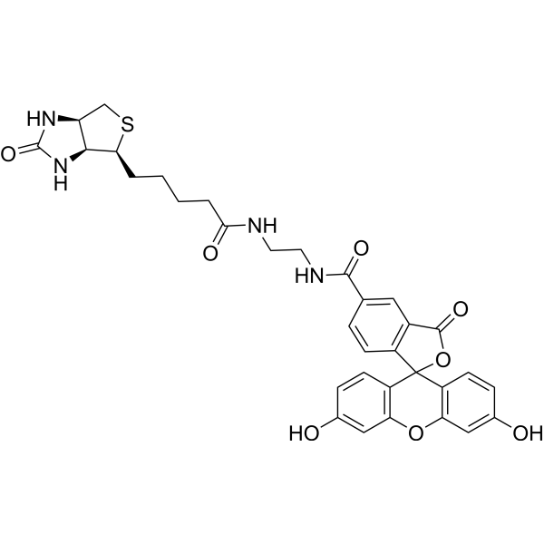 Biotin-4-Fluorescein 1032732-74-3